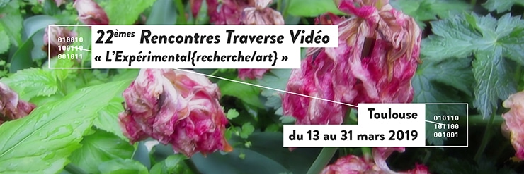 Visuel Traverse Vidéo 2019