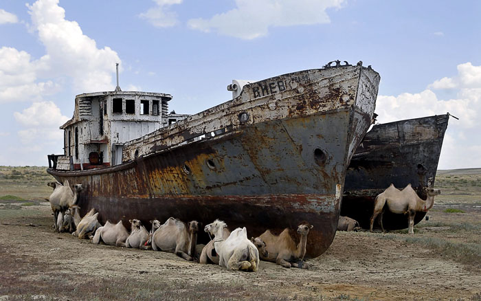 L’assèchement de la mer d’Aral, avec chameaux et bateaux.